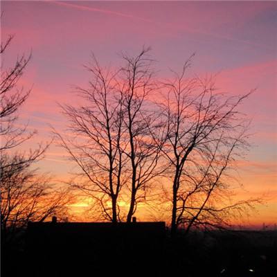 kok下载-登录入口